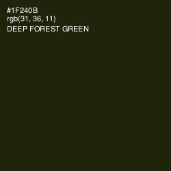 #1F240B - Deep Forest Green Color Image